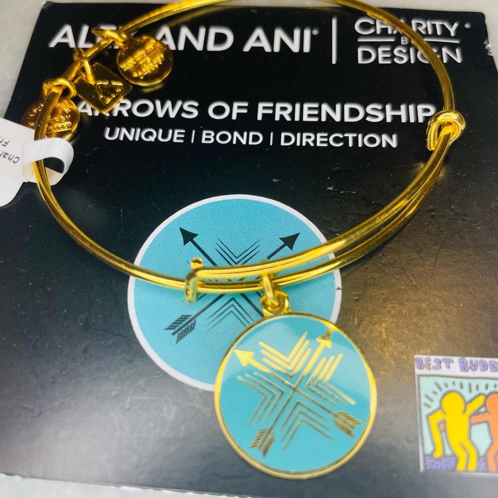 Alex and Ani NWT Arrows of Friendship Adjustable Bangle Bracelet 668